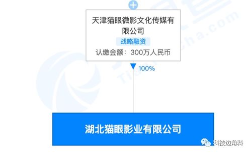 貓眼湖北影業(yè)公司成立 注冊(cè)資本300萬(wàn)，加速?gòu)V播電視節(jié)目制作布局